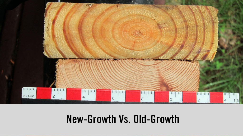 New, Old or an Alternative? Find the Best Product for Your Building Projects